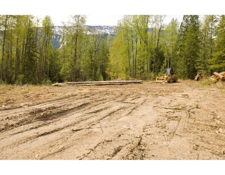 land clearing in amite louisiana