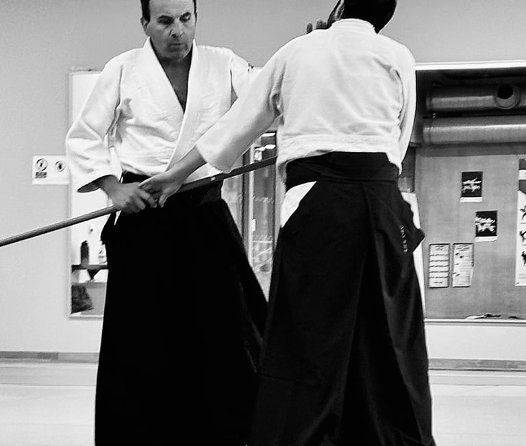 baisieux arts martiaux aïkido pratique du jo