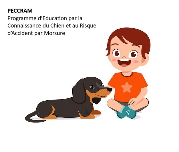 bon comportement enfant envers chien