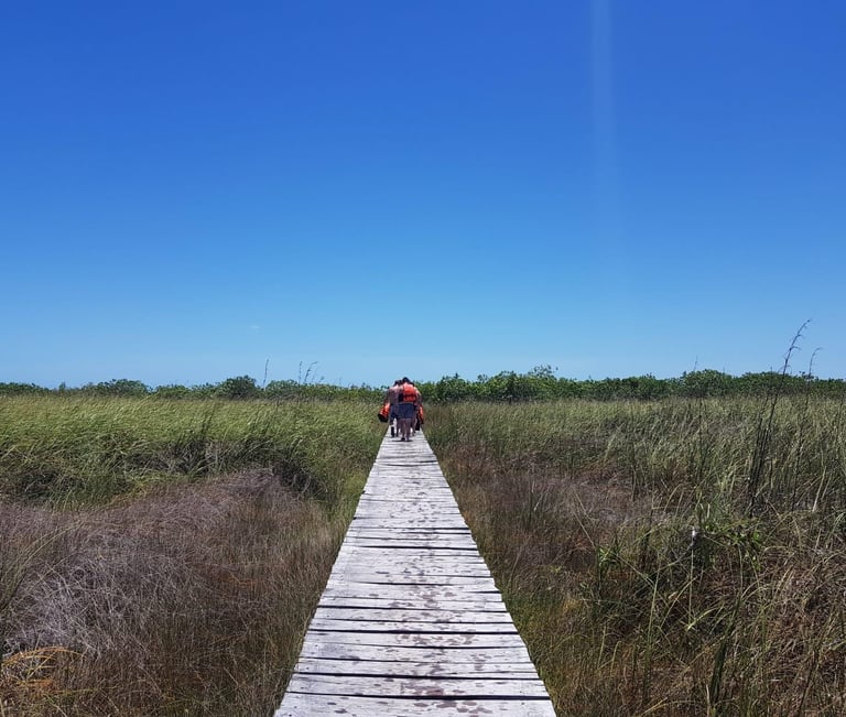 Camino magico a la laguna