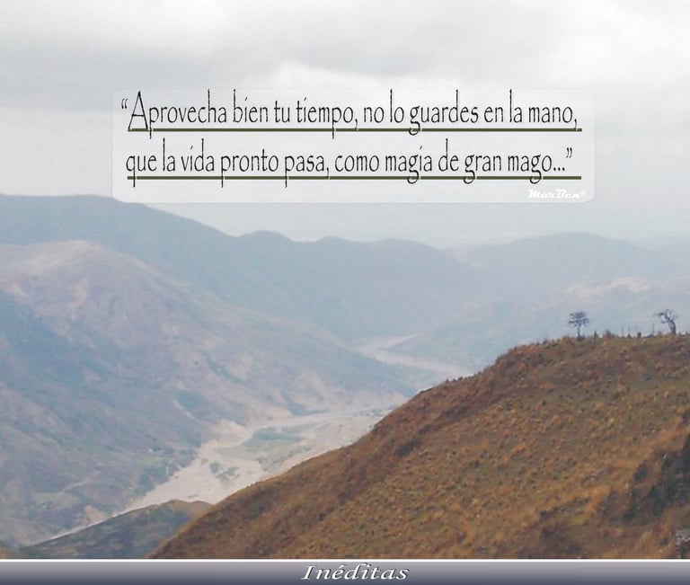 Tapa ampliada del Libro de Poemas: "El Arte de Vivir"