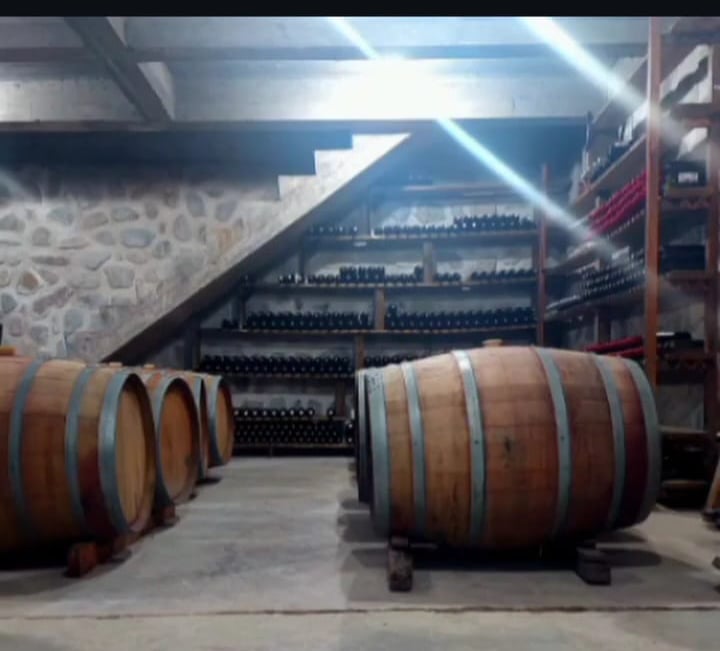 Foto: Bodega Martearena - Cava
