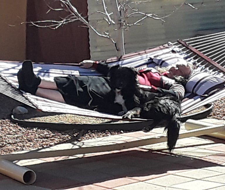 Women and Dog on a hammock supported by a Hammock Stand