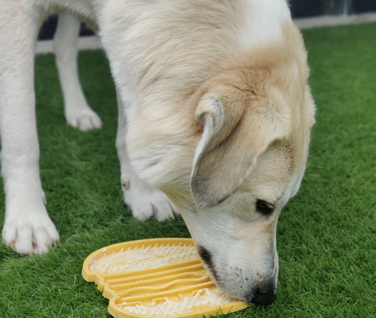 a dog is sniffing a lickmat on the grass