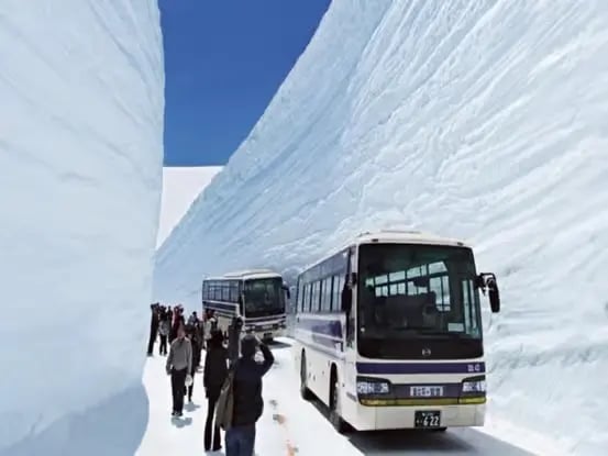 Sightseeing bus passing through the high Tateyama Snow Wall