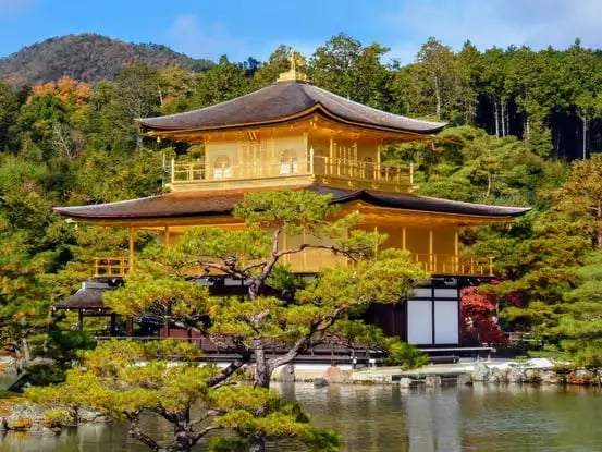 Kinkaku-ji Golden Pavilion, accessible via private car charter in Kyoto.