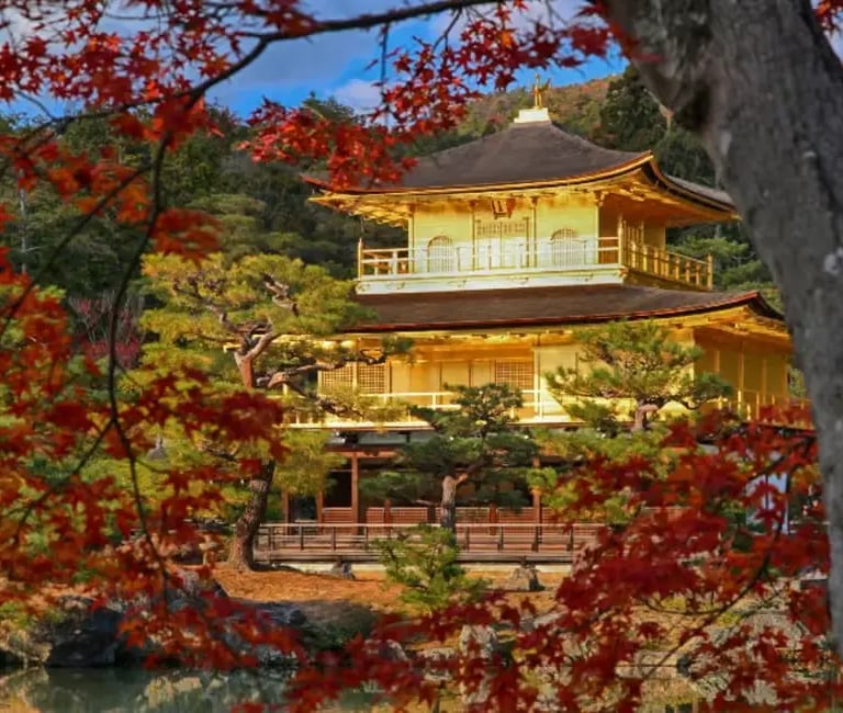 Golden Pavilion Kinkaku-ji temple in Kyoto surrounded by autumn foliage, a top stop on a private car