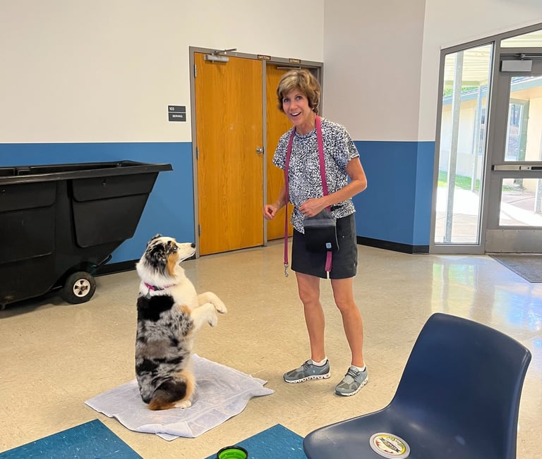 a dog holds a sit pretty position while the owner smiles