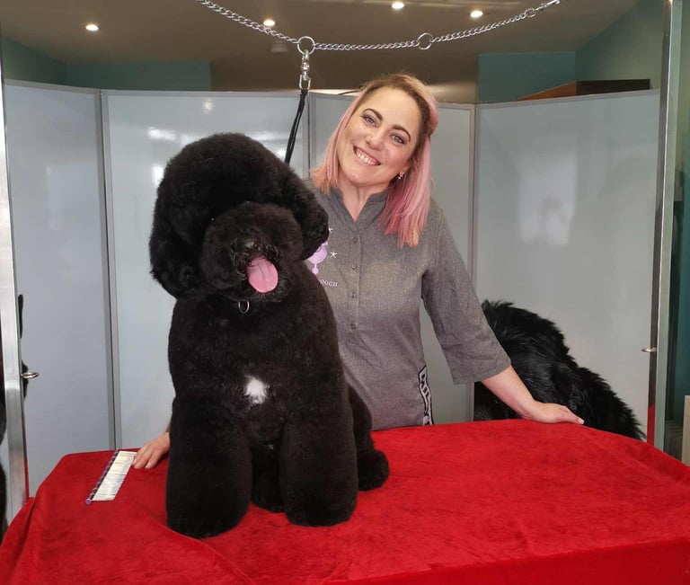 Happy dog groomer, happy dog