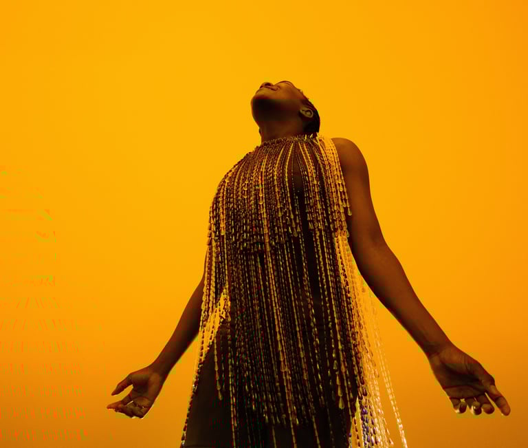 a woman with a long braid hair and a long dress