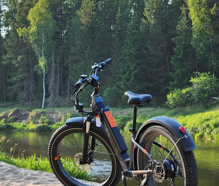 a fat tire electric rental bicycle parked on sand near a river