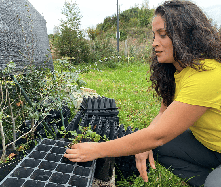 Equipo de EcoRumbo tomando árboles del vivero para trasplante en jornada comunitaria