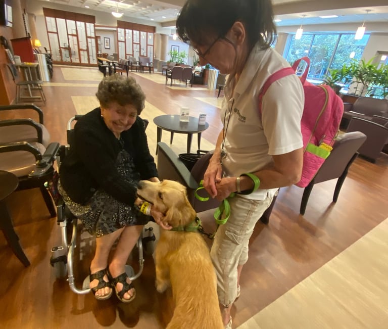 Woman in wheelchair with Tender Paws Therapy Dog Team Anna ana Lori and Tennova.