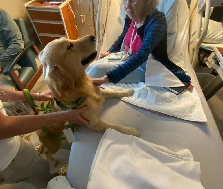 Tender Paws Therapy Animal Anna visits a female patient at Tennove.