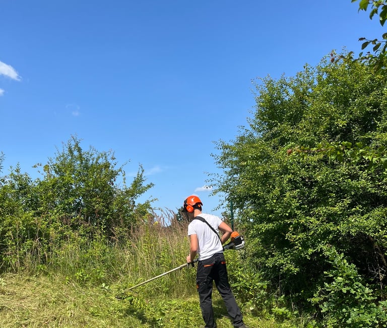 apleistu sklypų tvarkymo darbai