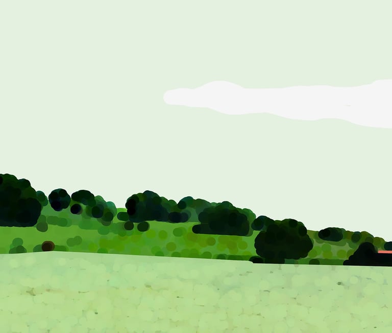 a cowgirl is standing in a field