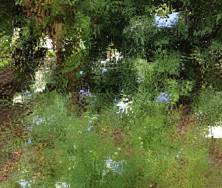 a fire hydrant in the woods