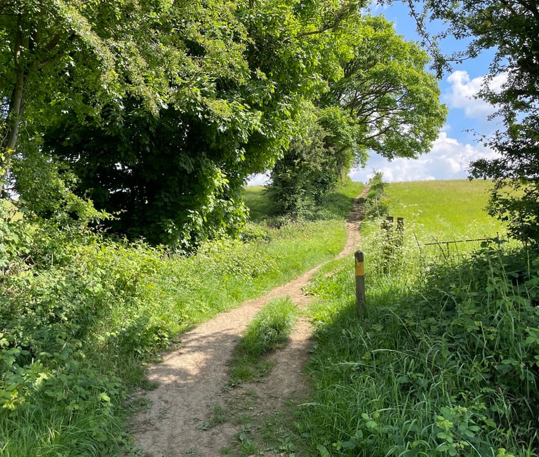 A countryside view showing a pathway leading over the brow of the hill