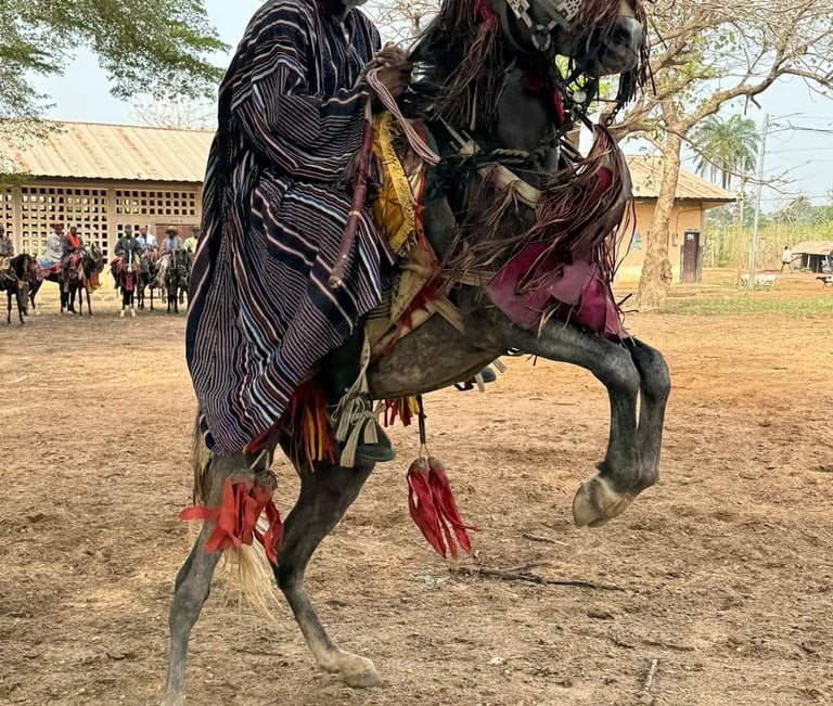 A Horse man Sitting on the Horse during the Gaani Festival in Nikki Benin
