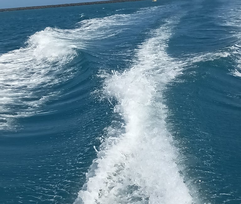 A life on the ocean wave