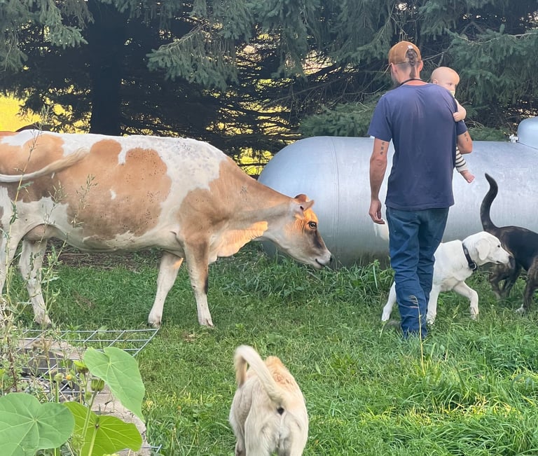 a man holding a baby, walking with a dog a painted Jersey and dogs