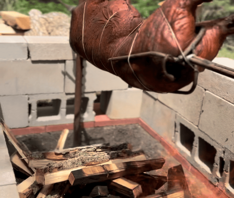 a pig roasting on a spit over an open fire