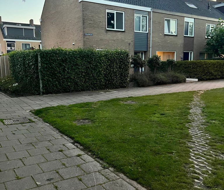 the grass in front of a house