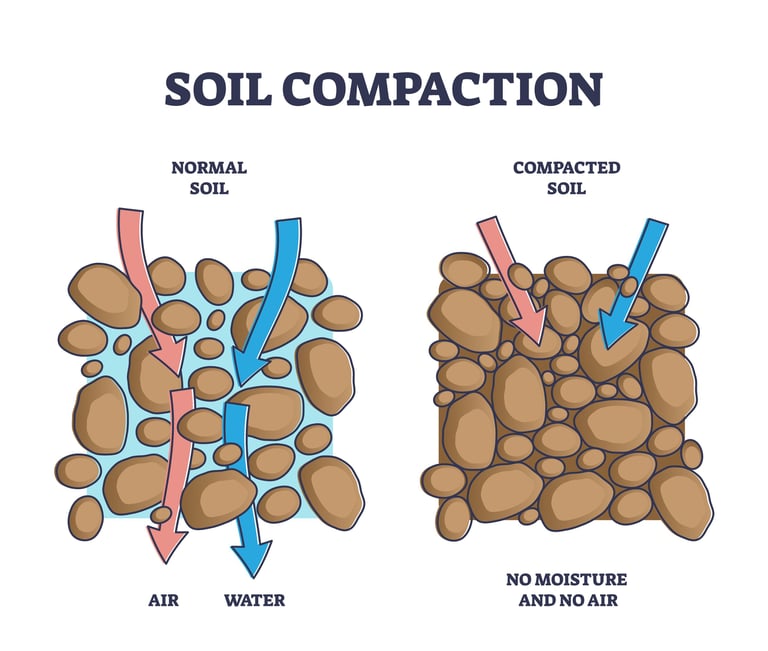 Soil Compaction diagram