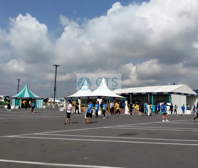 disney tent 2