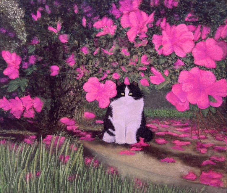 Gata preta e branca sob azaleias rosas floridas.