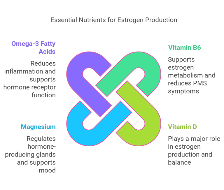 a diagram of the different types of vitamins that helps estrogen production