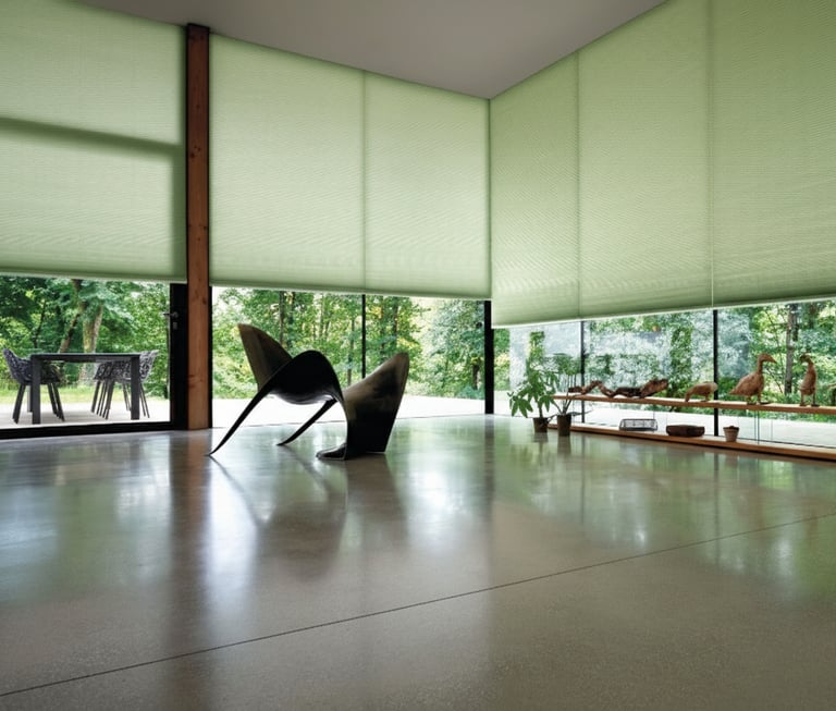 Project Submission Blinds