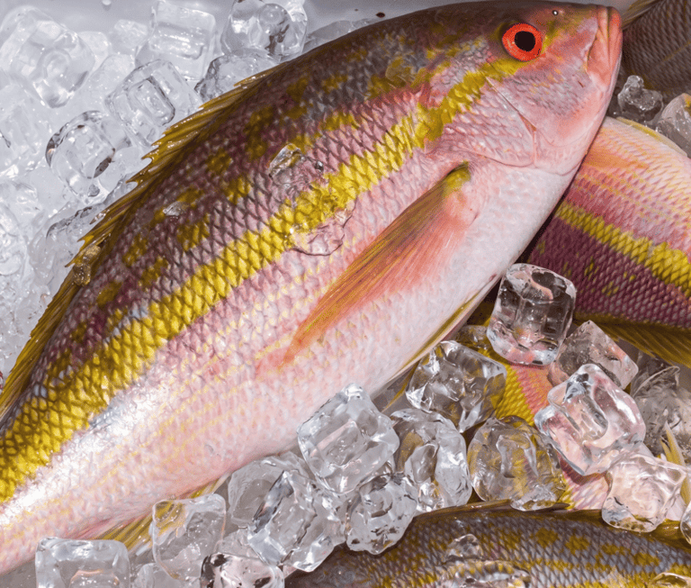 Fresh raw yellowtail snapper fish with pink and yellow scales on a bed of ice cubes.