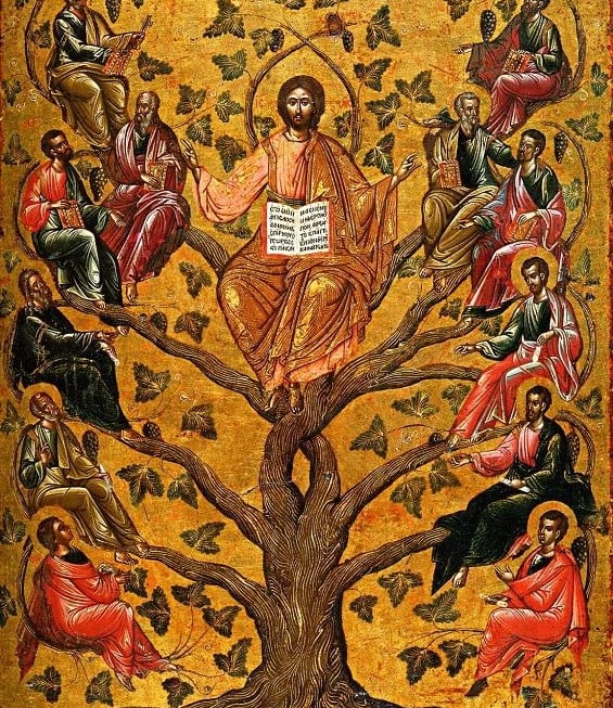 Abiding in the Vine (John 15:1)
