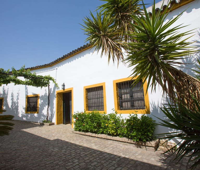 Inside view of Pettersen Brandy's renowned bodega located in Jerez de la Frontera, captured in an image.