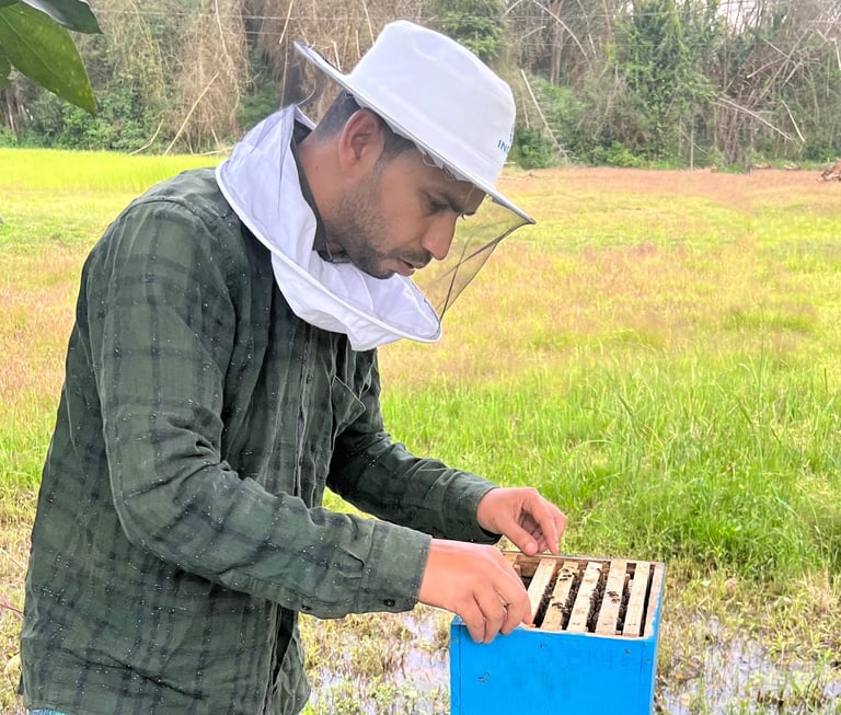 beekeeper from Nilgiris forest background green and yellow 