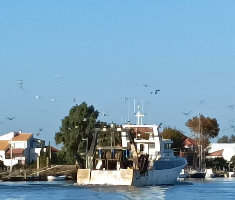 A trawler heads upstream to the Criée(fish market.)