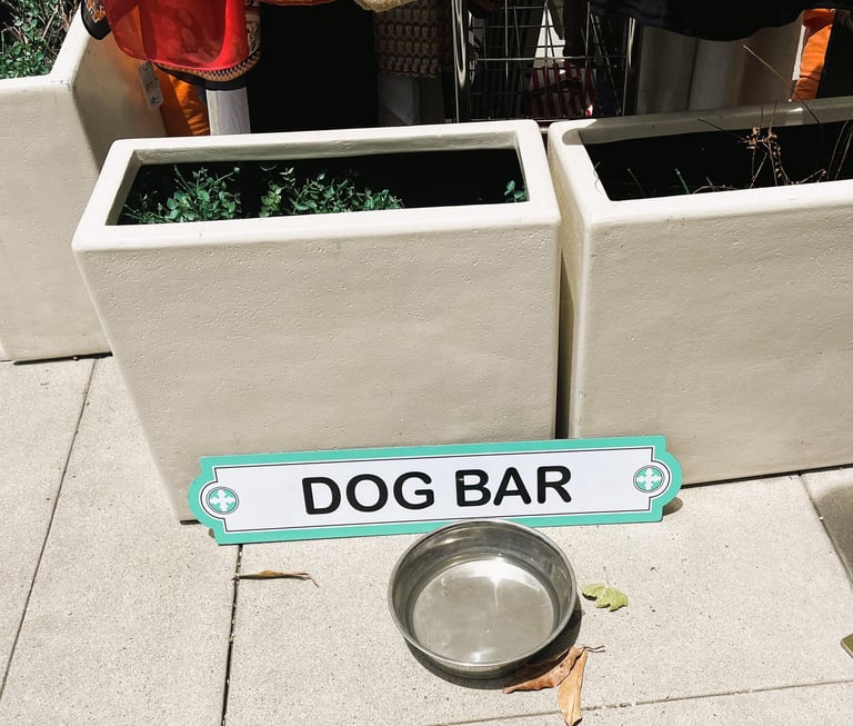 dog friendly water bowl in coronado, ca with words "dog bar"