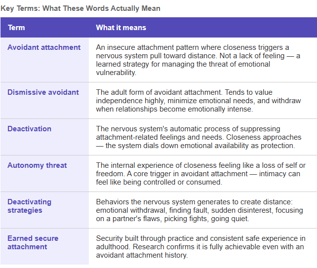 Key terms for attachment styles