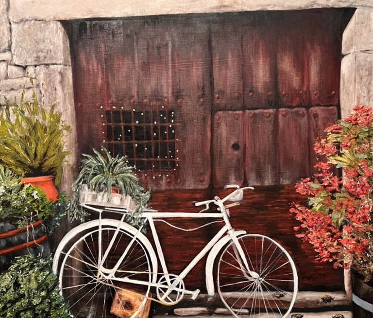 A typical front door of a house in Mogarraz. An old bike and flowers