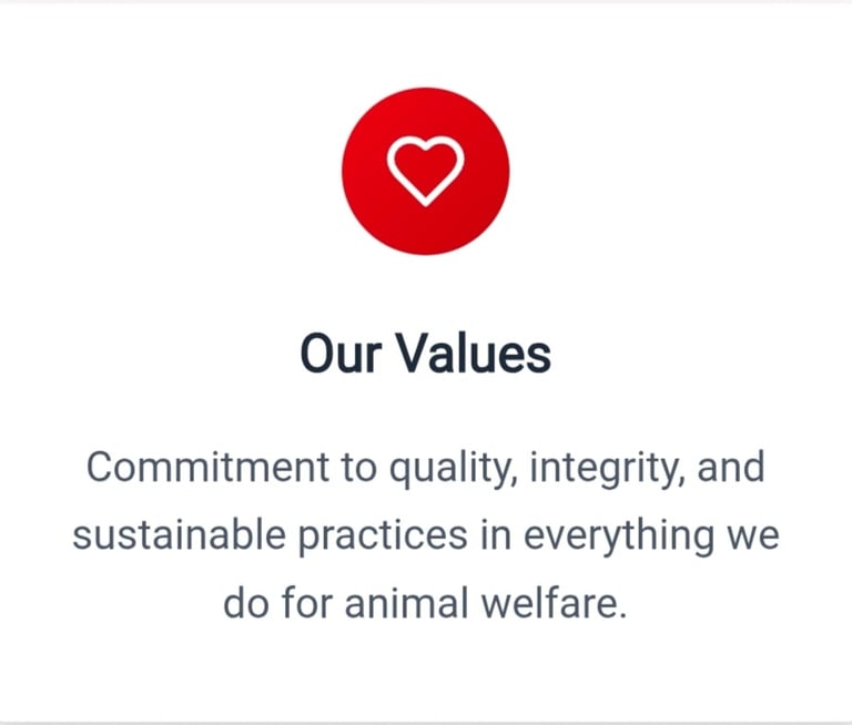 Noors Pharmaceutical Poultry Medicines for Broiler Layer chicken best Veterinary Nutraceutical