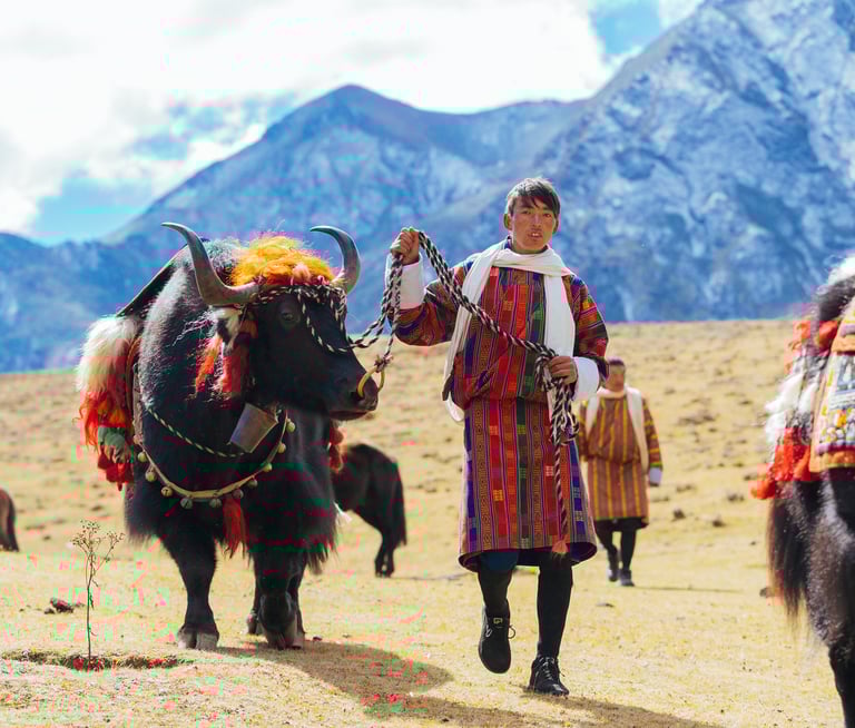 Layap_The_People_of_Laya_Pulling_off_His_Packed_Animal_Yak_during_laya-royal-highland-festival.jpg
