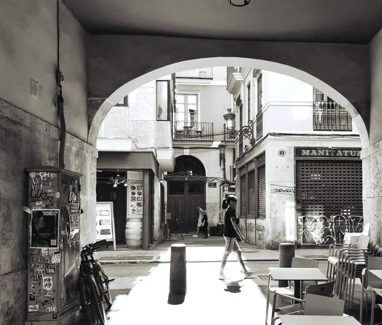 Entre calles y andenes valencia España