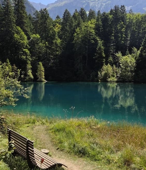 nature bench in front of a lake