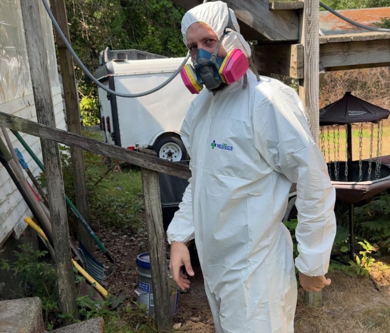 Mouse infestation cleanout and junk removal in Springfield MA