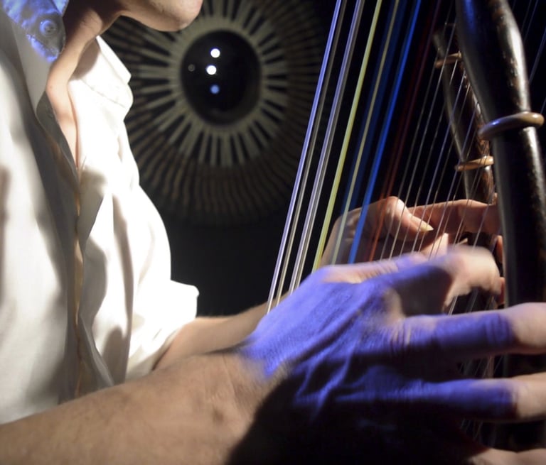 Vu de coté de Jérôme De Cuyper jouant sur la Jazzy-Kora