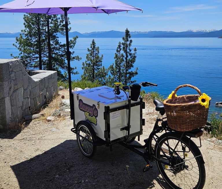 The mobile E-Tricycle on the East Shore Trail