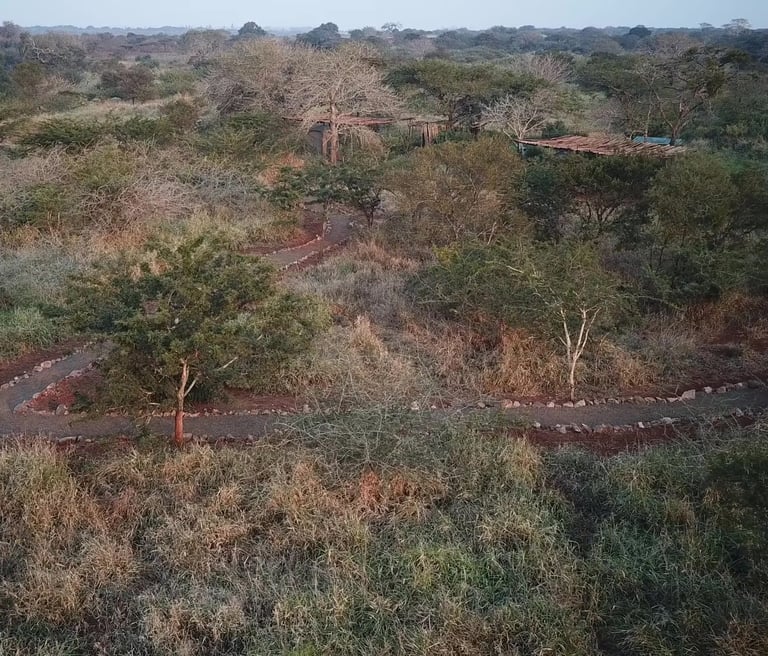 Self catering safari tent accommodation sites at Albizia tented camp