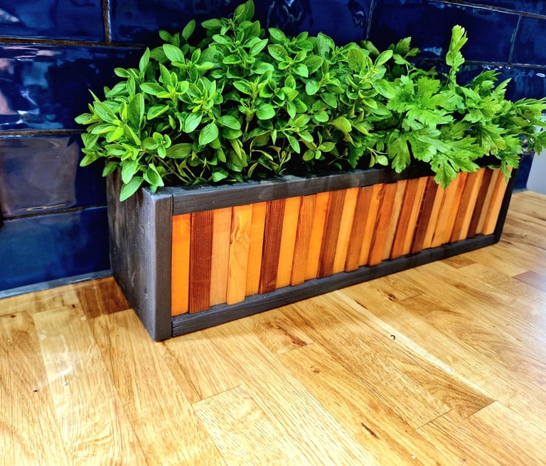 Herb planter DECORATIVE PLANTER POT HERB CATCUS CACTI SUCCULENT MINI GARDEN PLAN POT TIDY ORGANISER DESIGNER POT NARROW LONG