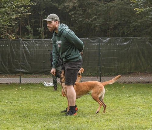 Hundeschule in Kiel. Individuelles Hundetraining mit Fokus auf klare Kommunikation